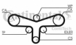 Curea distributie  CONTITECH CT1015