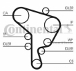 Curea distributie  CONTITECH CT1044