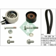 KIT DISTRIBUTIE INA 530062410