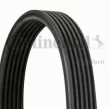 Curea accesorii Contitech 6DPK1195