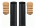 Kit protectie spate Sachs 900048